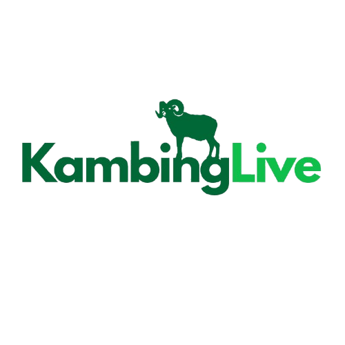 KambingLive Logo